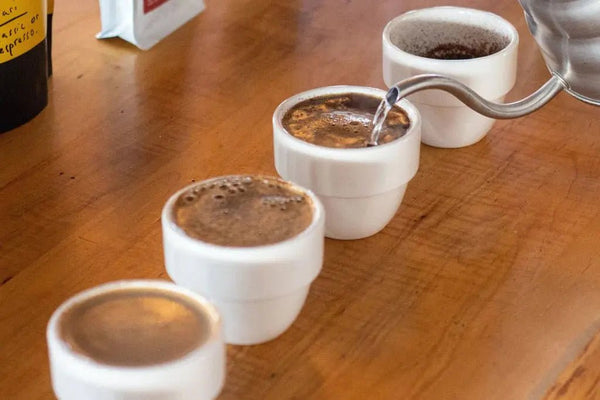 Cupping – Barista a Espresso
