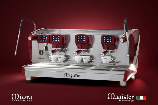 MAGISTER Sistema Caffe - Barista a Espresso