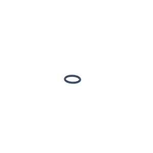 Rocket O-ring ångmunstycke Giotto, Appartamento m fl - Reservdel OEM nummer: C400002022